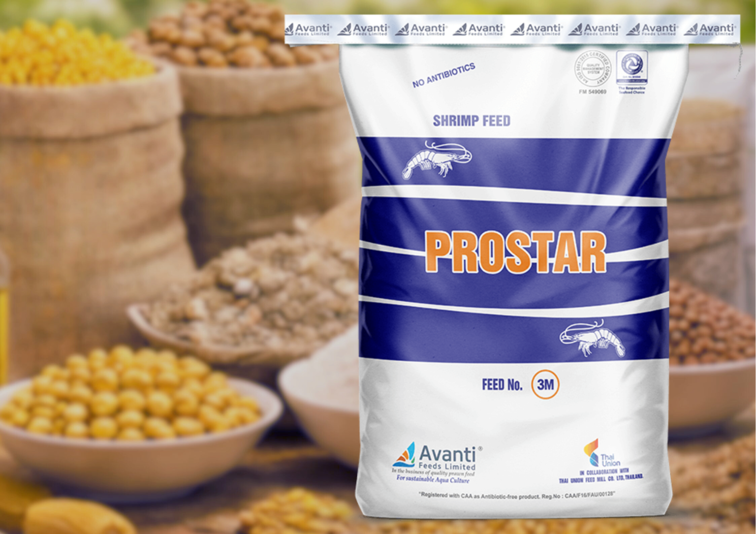 Untitled design - 2026-03-10T133334