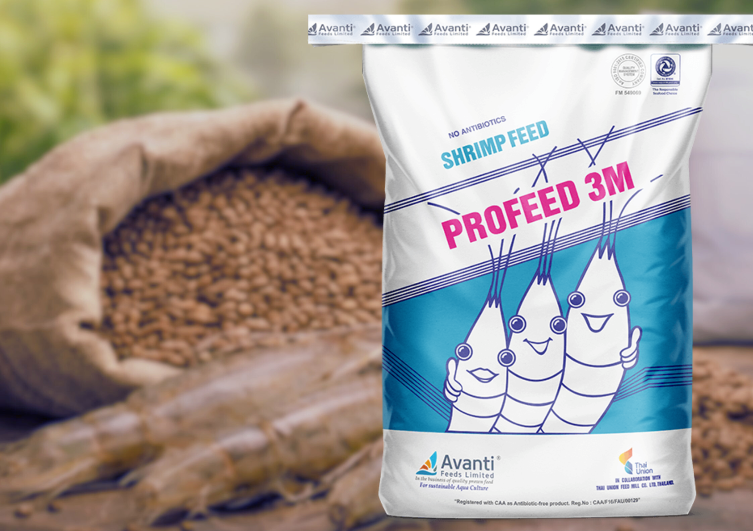 Untitled design - 2026-03-10T133621