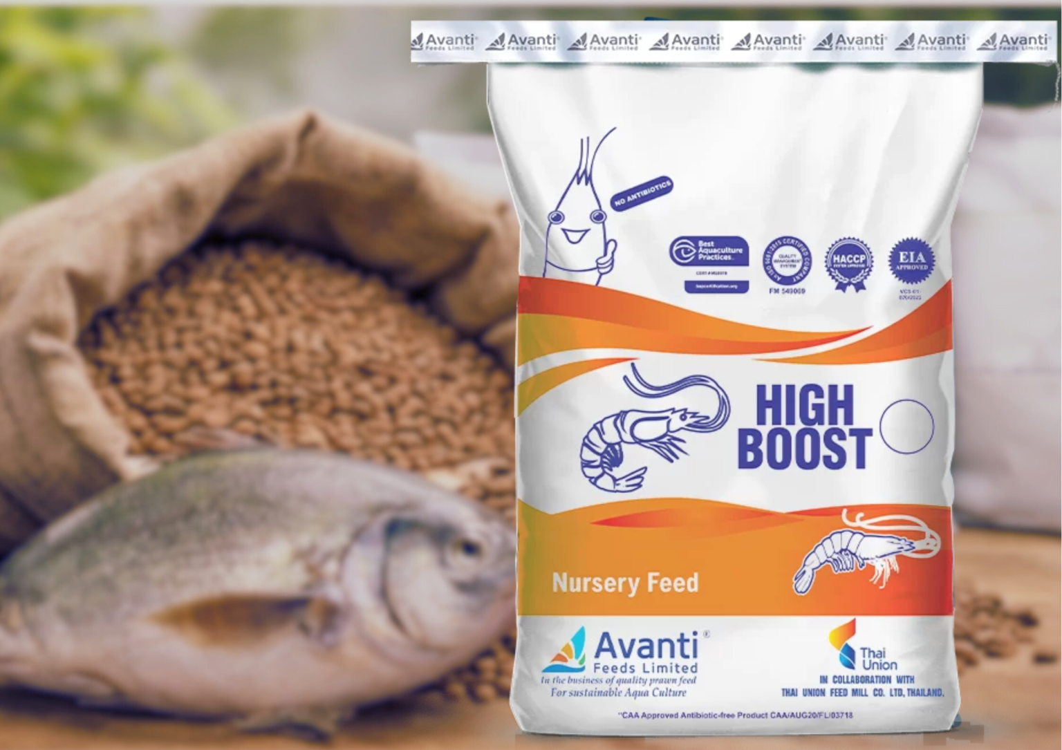 Untitled design - 2026-03-10T133900